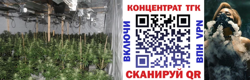 Дистиллят ТГК Wax  KRAKEN вход  Зима  наркота 