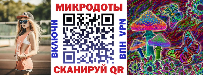 как найти Зима Псилоцибиновые грибы мицелий