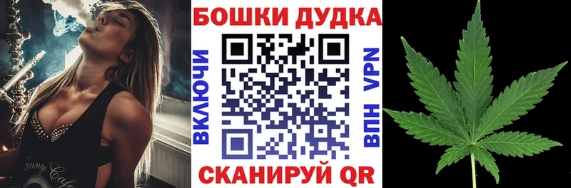 как найти   Зима  Шишки марихуана планчик 